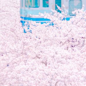 被cao哭嗯啊屁股撅起来动态图
